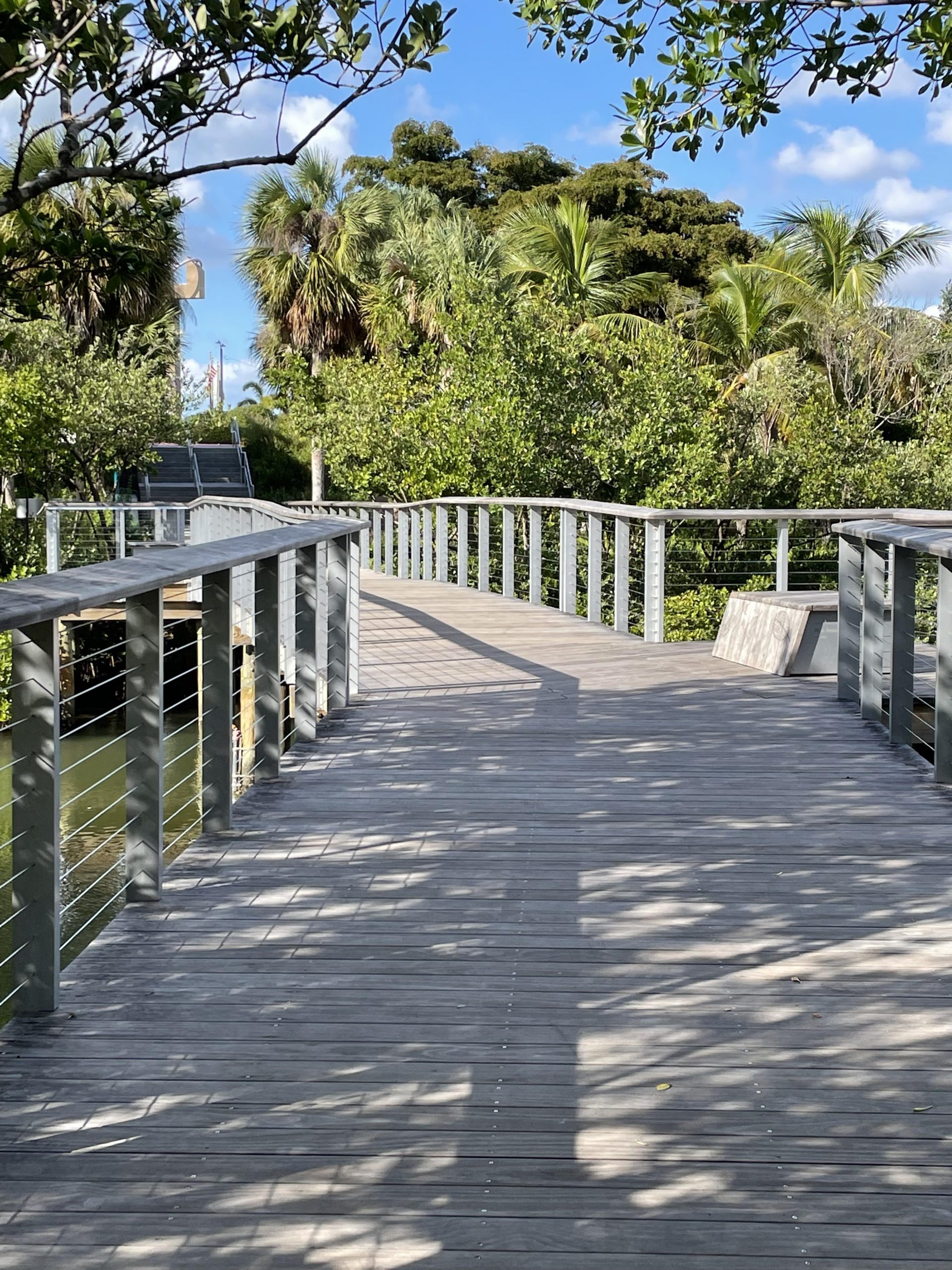 Bridge across the Mangrove.
