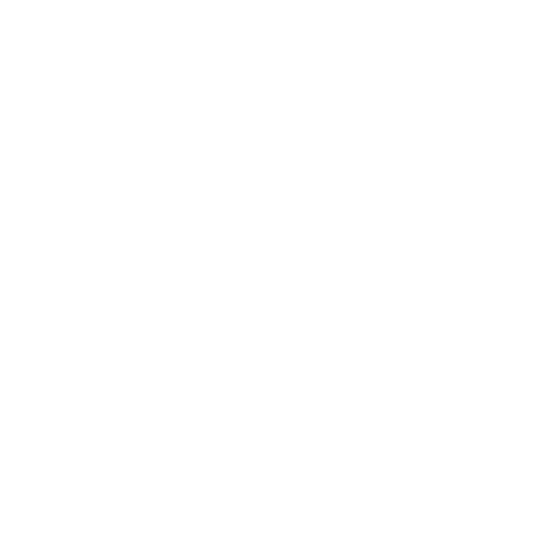 MINNICK TEAM (1)